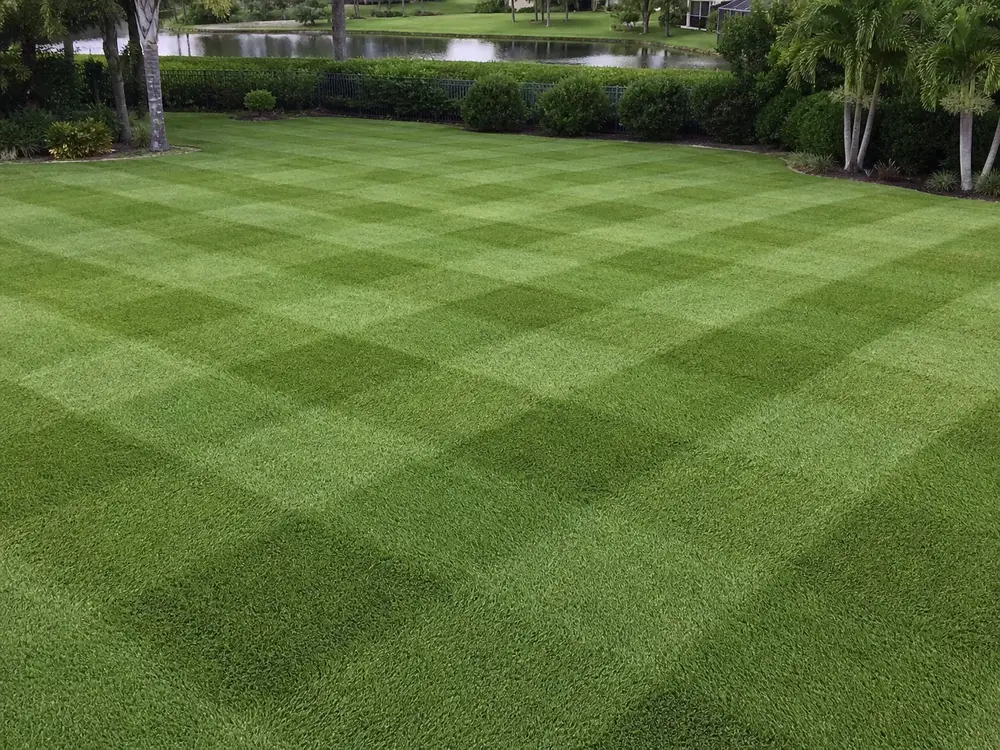 checkerboard mowing pattern