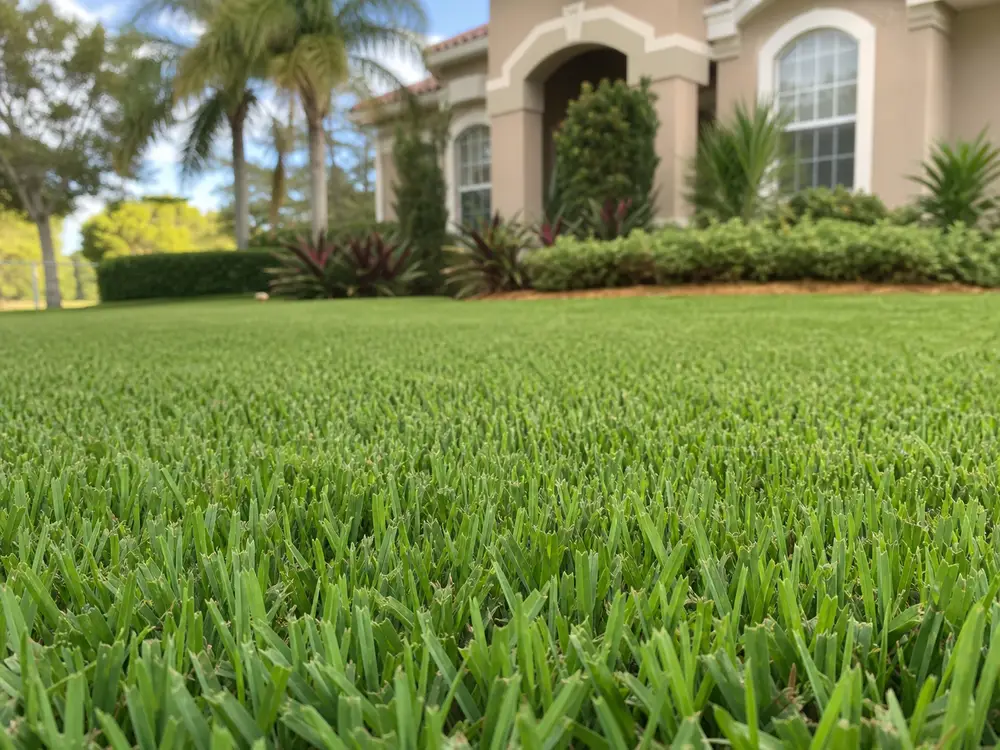 clippings free mulch mowed lawn